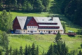 Hotel Alpina
