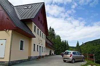Hotel Alpina 3*