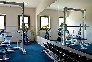 Hotel Alpina 3*