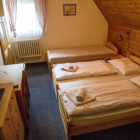 Alpina Hotel 3*