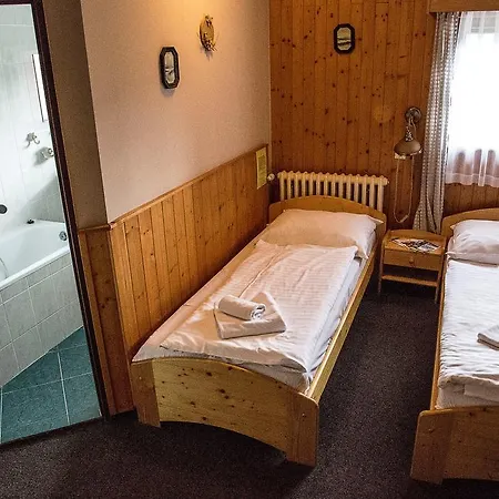 Alpina Hotel 3*
