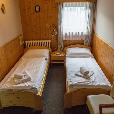 Hotel Alpina 3*